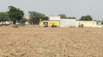 Agriculture Land for Sale Sidhrawali NH 8 Gurgaon HR