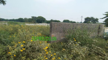 1000 Sq. Yards Residential Plot for Sale in Pataudi Road, Gurgaon