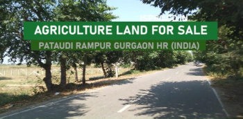 AGRICULTURE LAND FOR SALE PATAUDI GURGAON