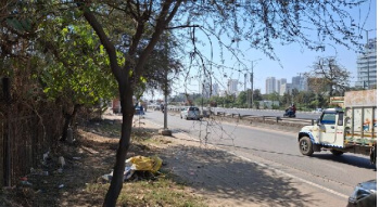 Commercial Lands /Inst. Land for Sale in NH 8 NH 8, Gurgaon (250 Sq. Yards)