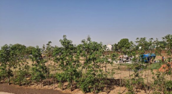 Property for sale in IMT Manesar, Gurgaon