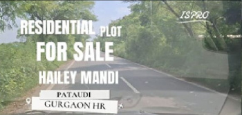 RESIDENTIAL PLOT FOR SALE HAILI MANDI PATAUDI GURGAON