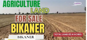 AGRICULTURE LAND FOR SALE BIKANER RAJASTHAN