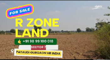 R ZONE LAND FOR SALE PATAUDI GURGAON HR