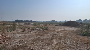 FARM LAND FOR SALE KOTPUTLI RAJASTHAN          BEST FARM LAND NEAR BY NH 8