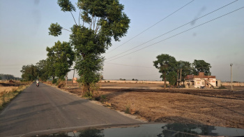 Agricultural/Farm Land for Sale in Halwara, Ludhiana (12 Acre)