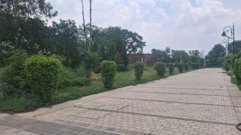 DDJAY PLOT |STILT + 4 PASS | FOR SALE | GURGOAN HR     WEST FACING PLOT