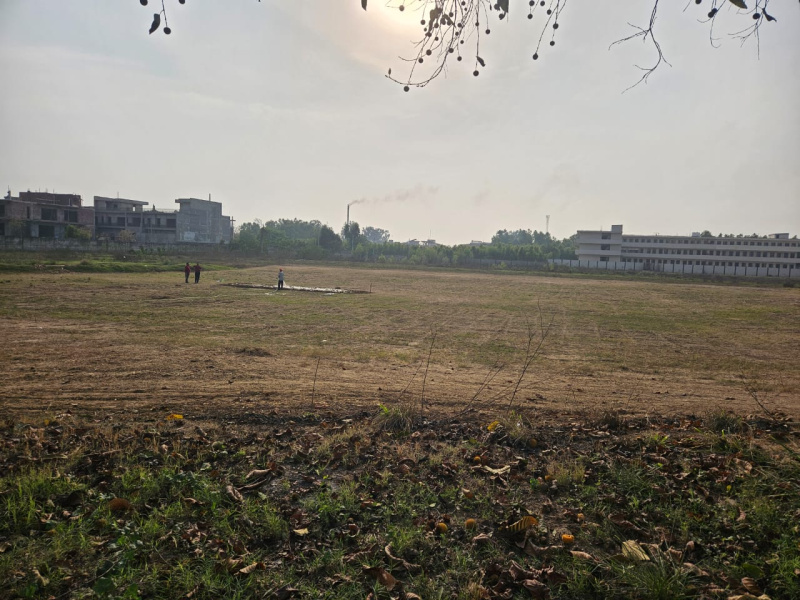 250 Sq. Yards Residential Plot for Sale in Nh 95, Ludhiana