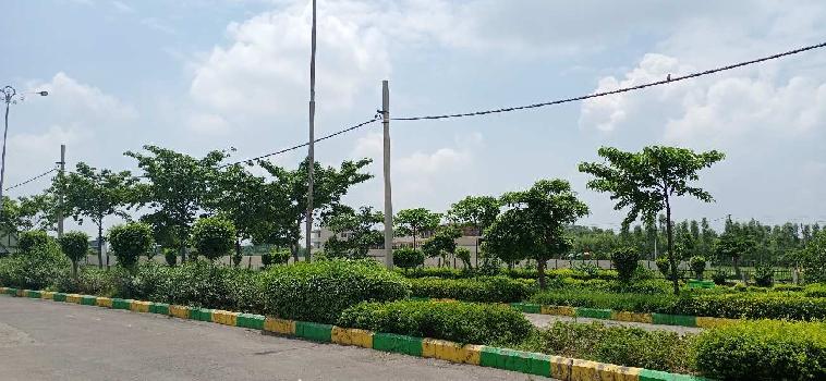42 Sq. Yards Commercial Lands /Inst. Land for Sale in Jandiali, Ludhiana