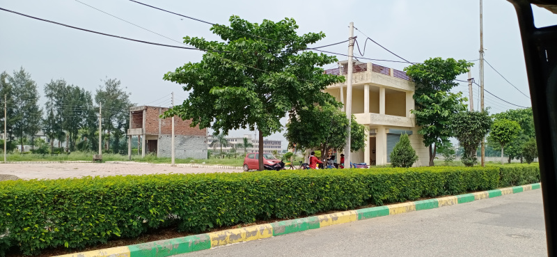 42 Sq. Yards Commercial Lands /Inst. Land for Sale in Jandiali, Ludhiana