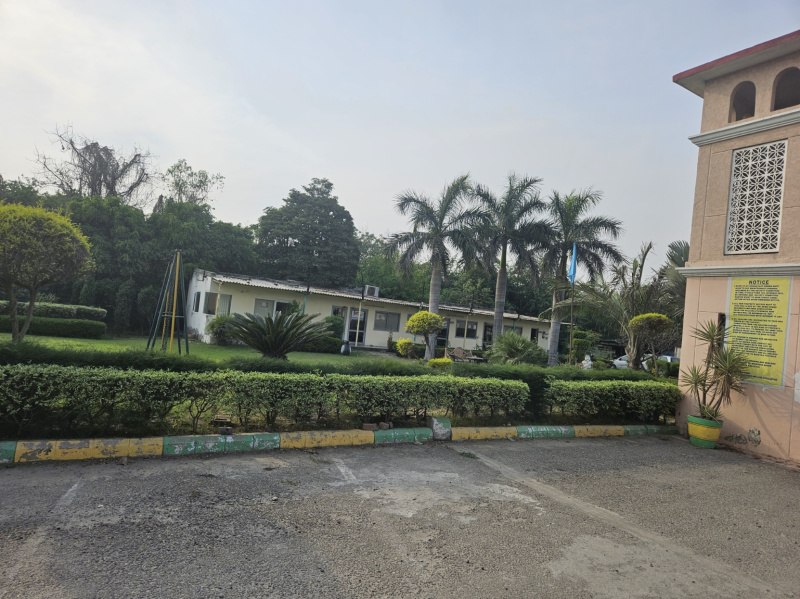 275 Sq. Yards Residential Plot for Sale in Jandiali, Ludhiana