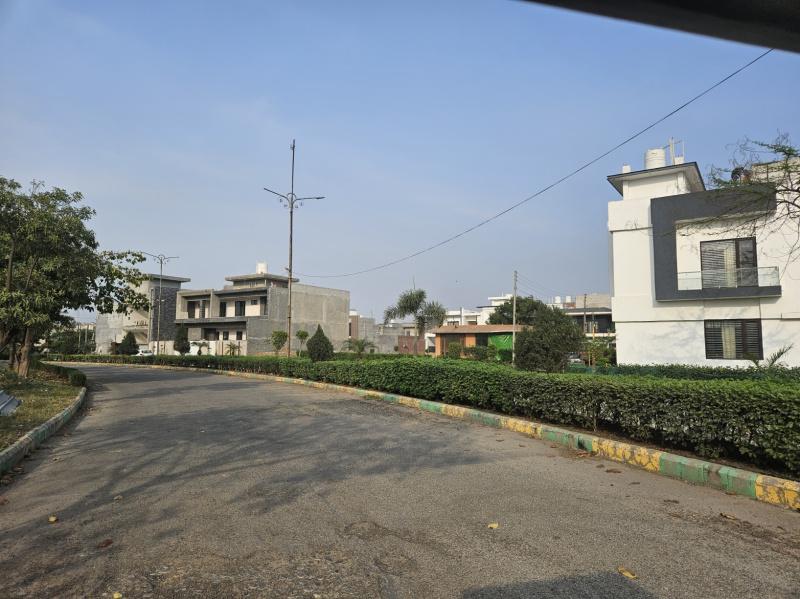 228 Sq. Yards Residential Plot for Sale in Jandiali, Ludhiana