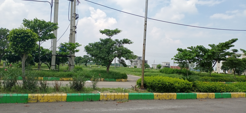 193.33 Sq. Yards Residential Plot for Sale in Jandiali, Ludhiana