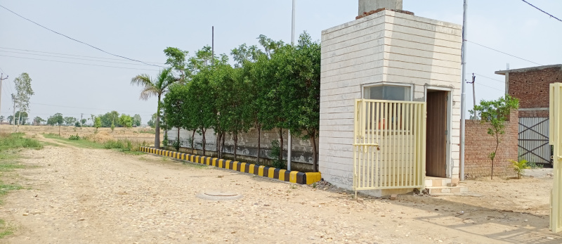 145.14 Sq. Yards Residential Plot for Sale in NH 95, Ludhiana