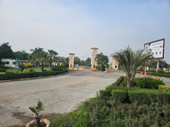 250 Sq. Yards Residential Plot for Sale in Jandiali, Ludhiana