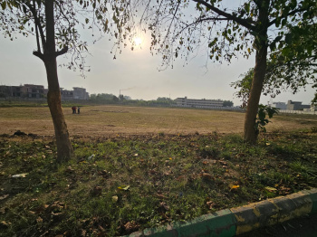 350 Sq. Yards Residential Plot for Sale in Jandiali, Ludhiana
