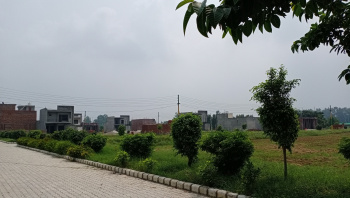 250 Sq. Yards Residential Plot for Sale in Jandiali, Ludhiana