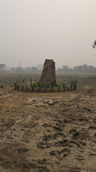 Residential Plot for Sale in Sahnewal, Ludhiana (100 Sq. Yards)