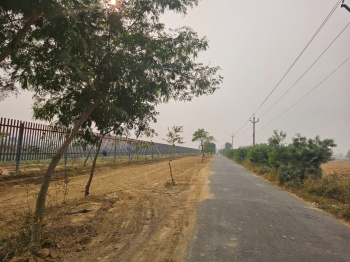 Residential Plot for Sale in Sahnewal, Ludhiana (126.58 Sq. Yards)