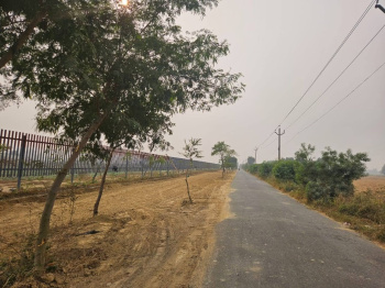 126.58 Sq. Yards Residential Plot for Sale in Sahnewal, Ludhiana