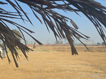 Residential Plot for Sale in Sahnewal, Ludhiana