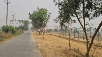 Residential Plot for Sale in Sahnewal, Ludhiana (112.50 Sq. Yards)