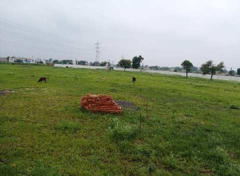 1000 Sq.ft. Residential Plot for Sale in Nihalpur Mundi, Indore