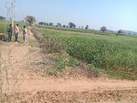 Agricultural land very good location 11 feet road 4 km near by nh 8