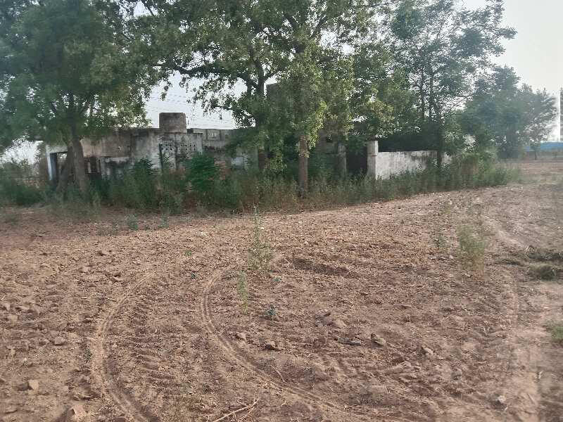 3 Acre Agricultural/Farm Land for Sale in Manesar, Gurgaon
