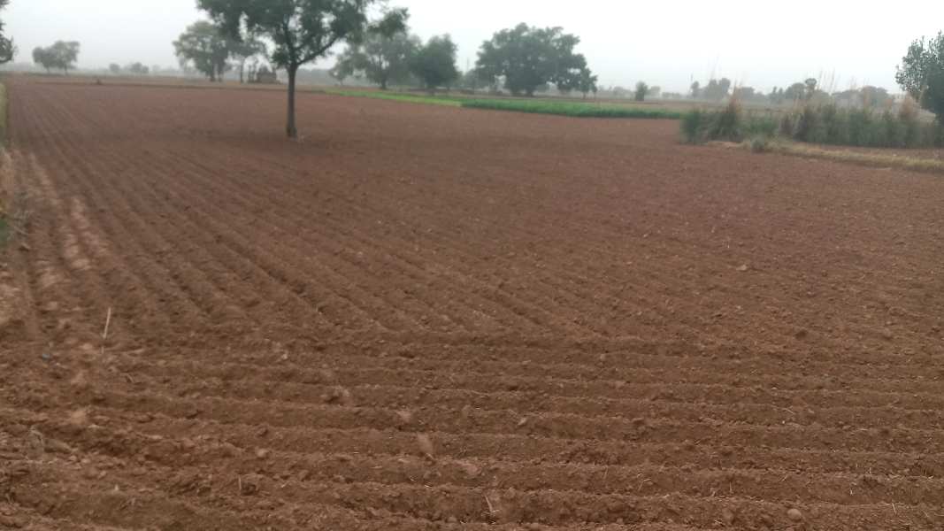 1 Acre Agricultural/Farm Land for Sale in Manesar, Gurgaon