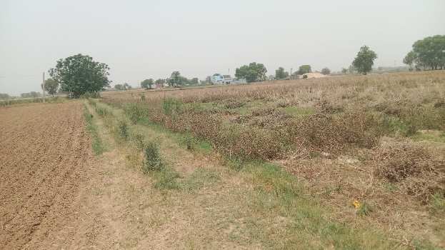 1 Acre Agricultural/Farm Land for Sale in Pataudi, Gurgaon