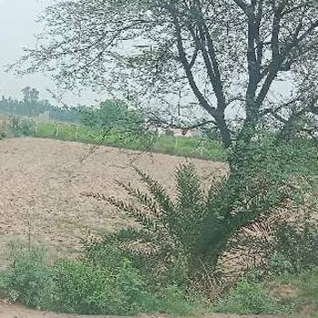 33 fit road agriculture land sohna
