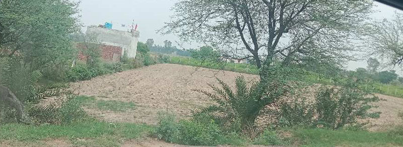33 fit road agriculture land sohna