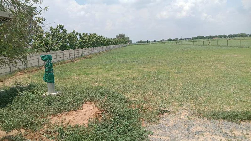 100 acres agriculture land