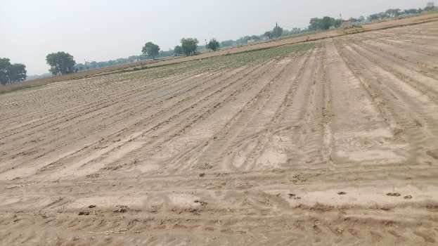 3 Acre Agricultural/Farm Land for Sale in Sector 92, Gurgaon