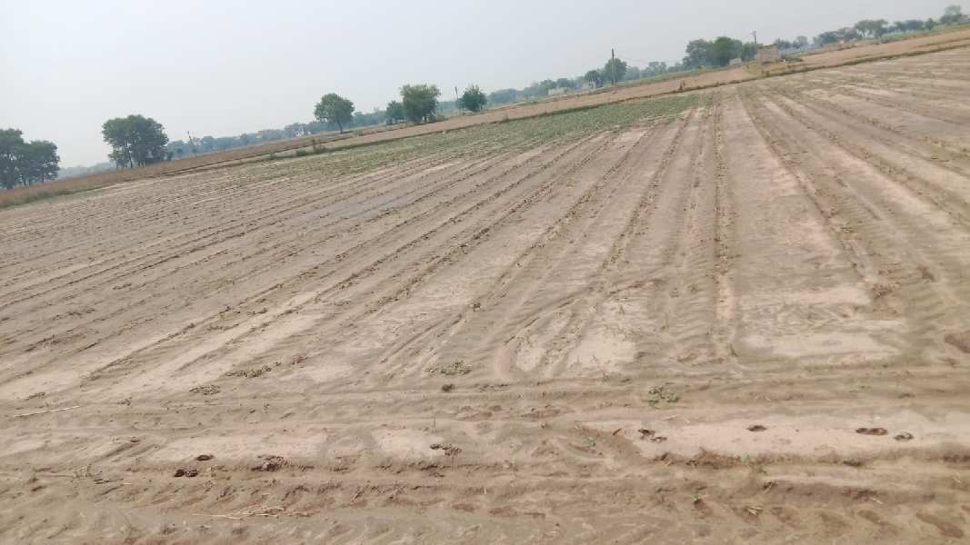 3 Acre Agricultural/Farm Land for Sale in Sector 92, Gurgaon