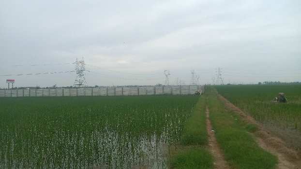 7 Acre Agricultural/Farm Land for Sale in Farrukhnagar, Gurgaon