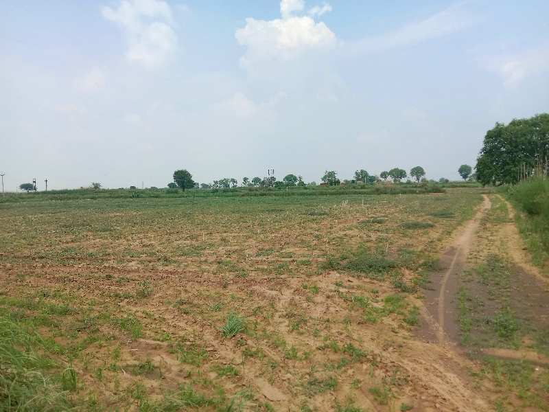 2420 Sq. Yards Agricultural/Farm Land for Sale in Farrukhnagar, Gurgaon