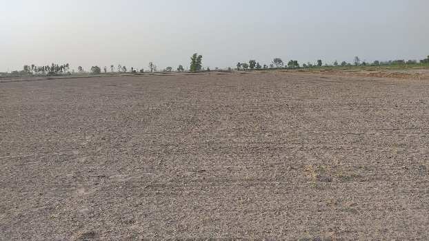 100 Acre Agricultural/Farm Land for Sale in Bilaspur, Gurgaon