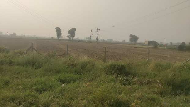 10 Bigha Agricultural/Farm Land for Sale in Tapukara, Bhiwadi