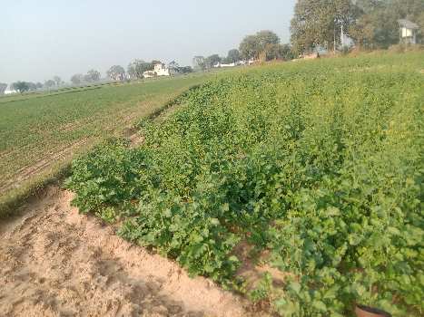 11 Acre Industrial Land / Plot for Sale in Dharuhera, Rewari