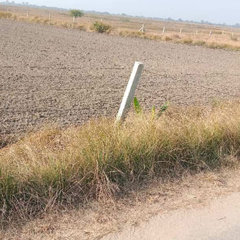 18 Acre Agricultural/Farm Land for Sale in Pataudi, Gurgaon