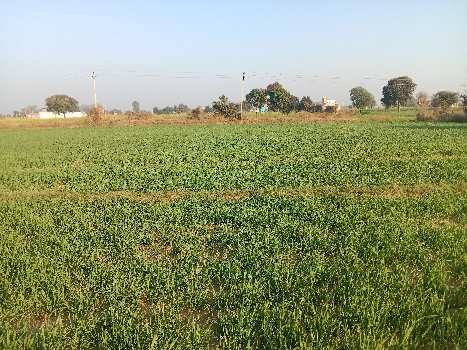 30 Acre Agricultural/Farm Land for Sale in Manesar, Gurgaon