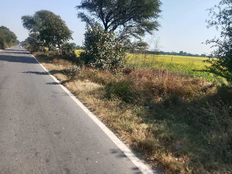 9 Acre Agricultural/Farm Land for Sale in Sector 102, Gurgaon