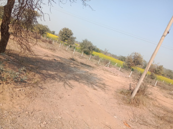27 Acre Agricultural/Farm Land for Sale in Sultanpur, Gurgaon