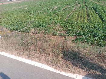 8.5 Acre Agricultural/Farm Land for Sale in Dharuhera, Rewari