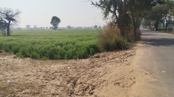 3 Ares Agricultural/Farm Land for Sale in Badsa, Jhajjar