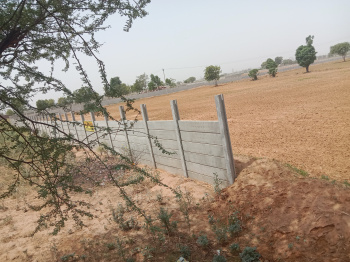 530 Sq. Yards Agricultural/Farm Land for Sale in Pataudi, Gurgaon