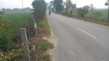 3 Acre Agricultural/Farm Land for Sale in Pataudi, Gurgaon