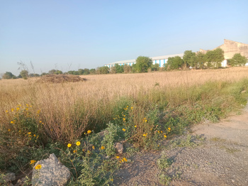 20 Acre Agricultural/Farm Land for Rent in Pataudi, Gurgaon